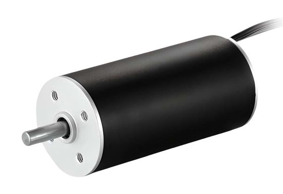 Motor DC de 22 mm sem ranhuras e escovas 36V 16768 rpm Personalizável