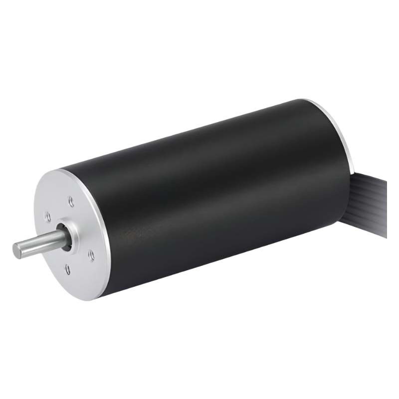 Hochgeschwindigkeits 22mm Schlitzloser Bürstenloser Motor 48V Kernloser BLDC-Motor 22W 13641rpm